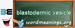 WordMeaning blackboard for blastodermic vesicle